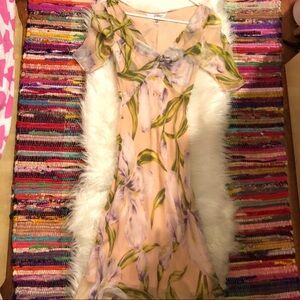 Diane Von furstenberg silk floral dress